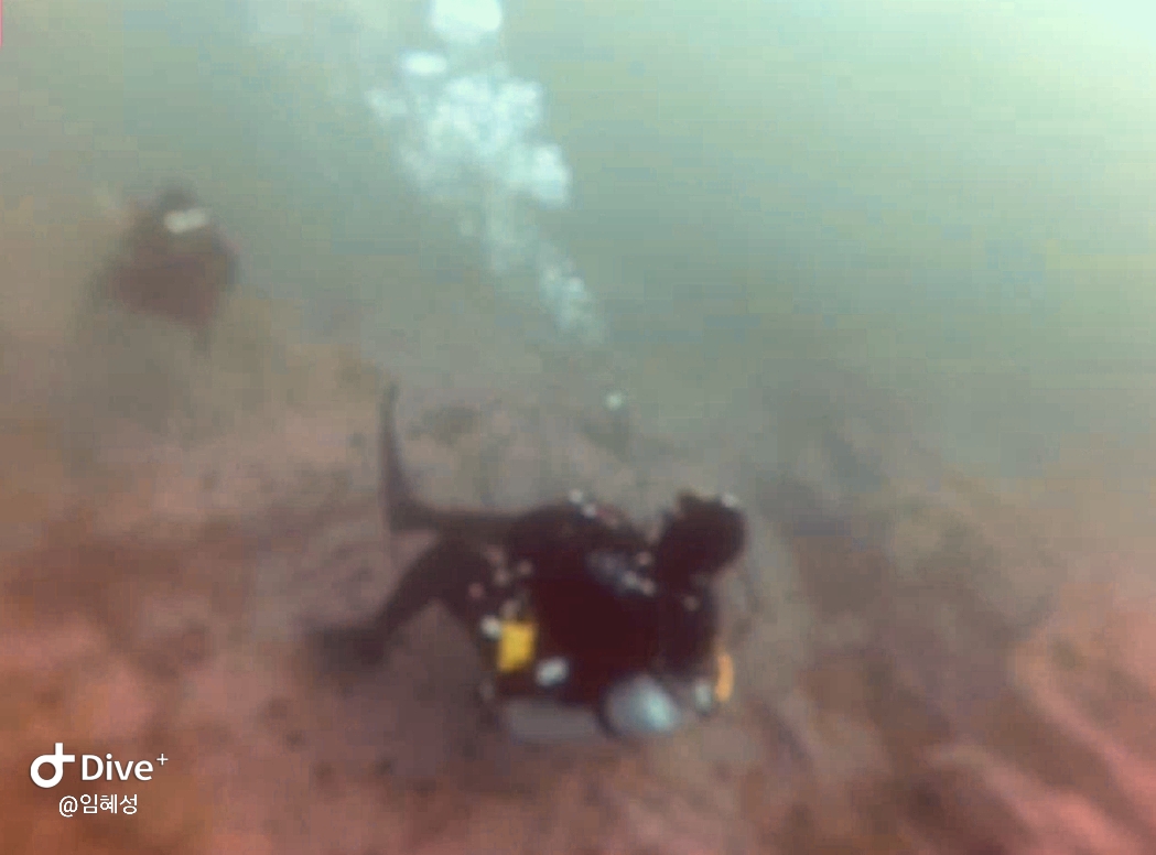 일단 웨이트맞췄고