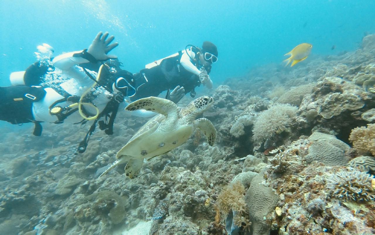 보라카이 해외 첫 다이빙 하루에 3깡씩 2틀 다이빙^^