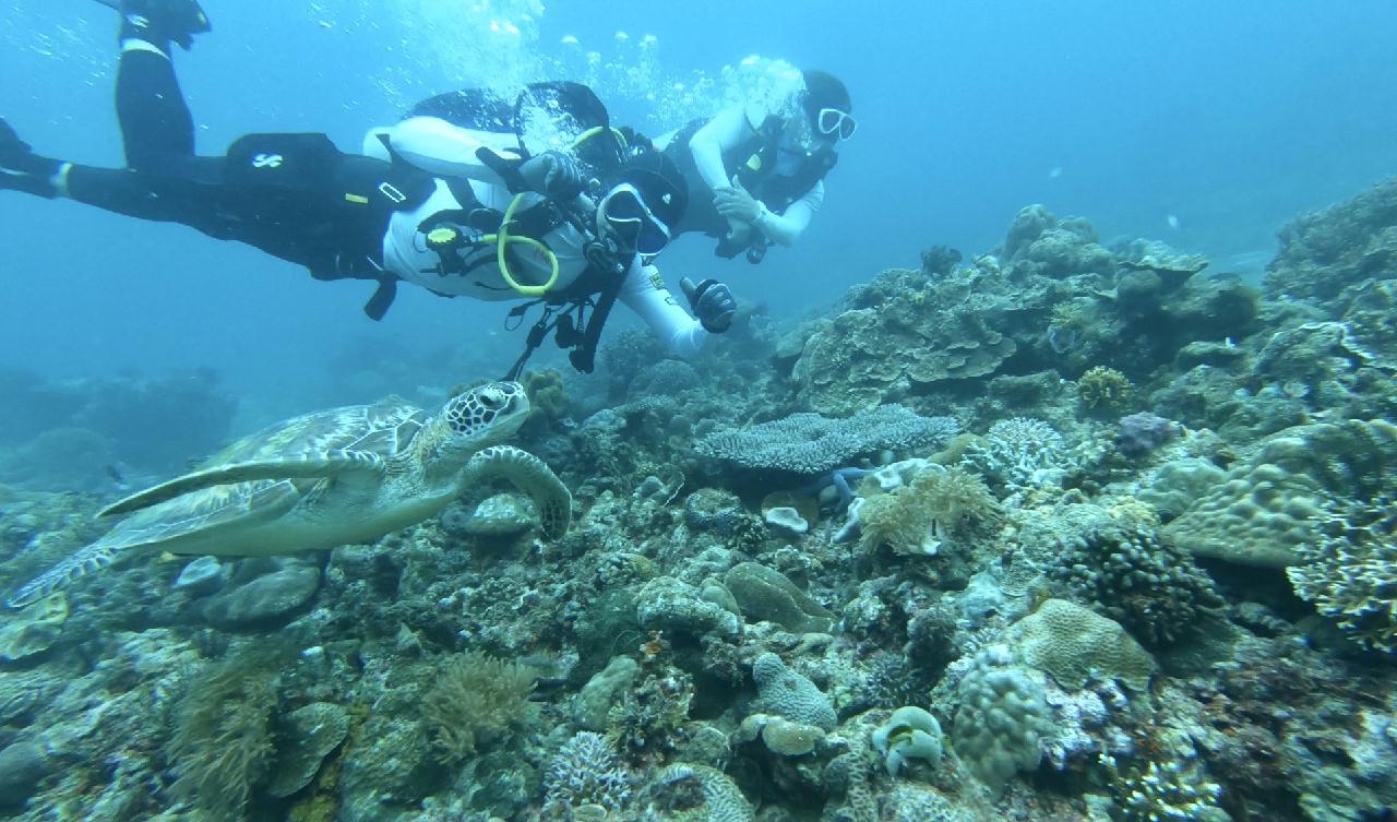 보라카이 해외 첫 다이빙 하루에 3깡씩 2틀 다이빙^^