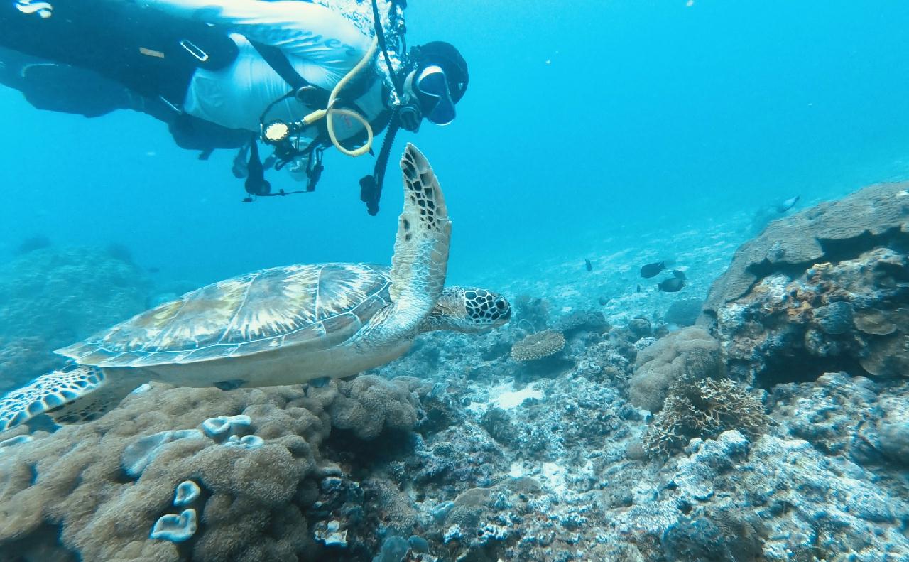 보라카이 해외 첫 다이빙 하루에 3깡씩 2틀 다이빙^^