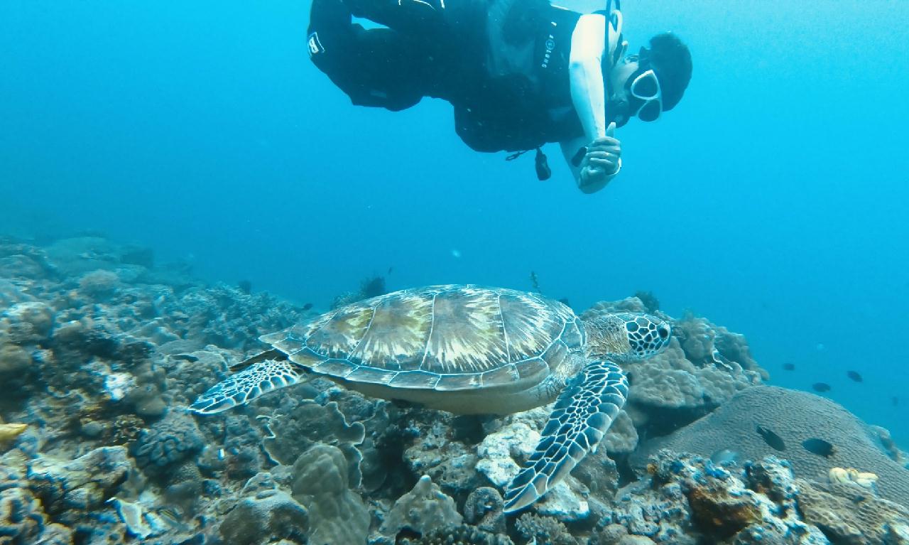 보라카이 해외 첫 다이빙 하루에 3깡씩 2틀 다이빙^^