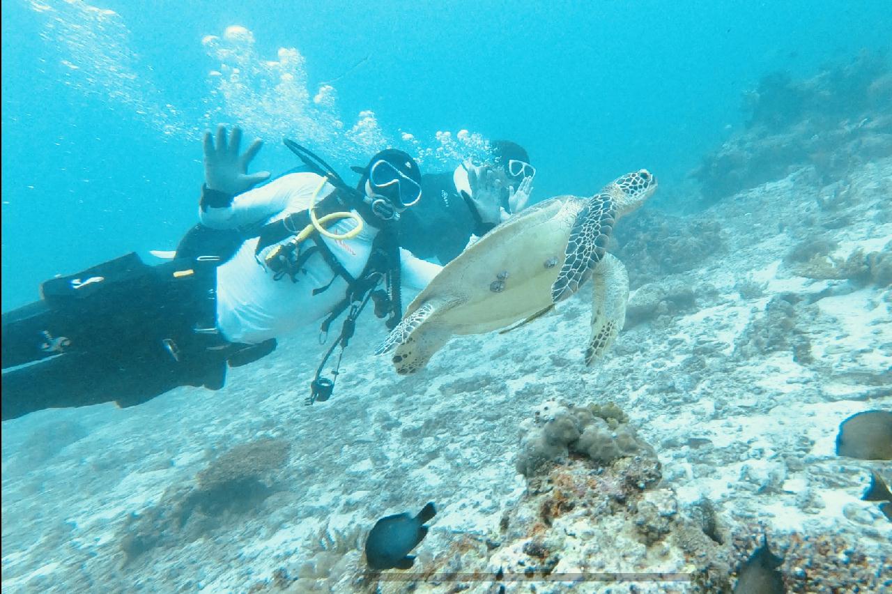 보라카이 해외 첫 다이빙 하루에 3깡씩 2틀 다이빙^^