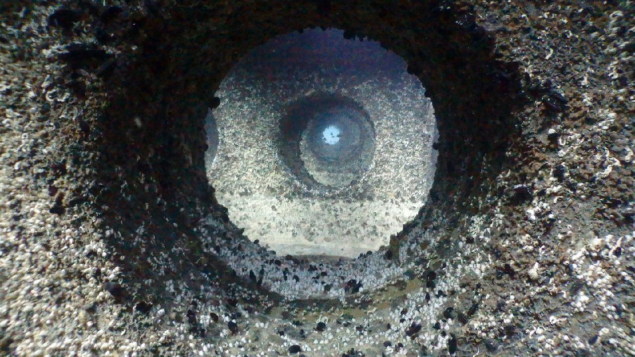 양양,동호해변 - 인공 어초 15