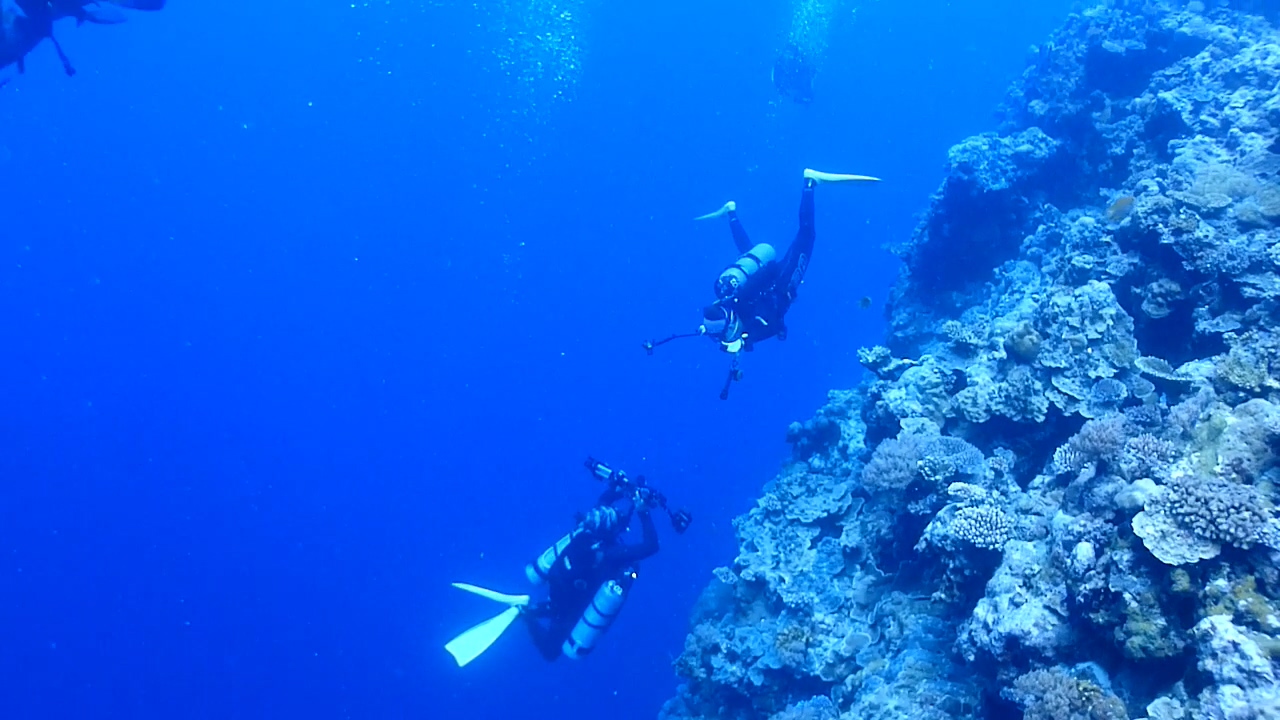 Palau Adventure Dive #Siaes Tunnel