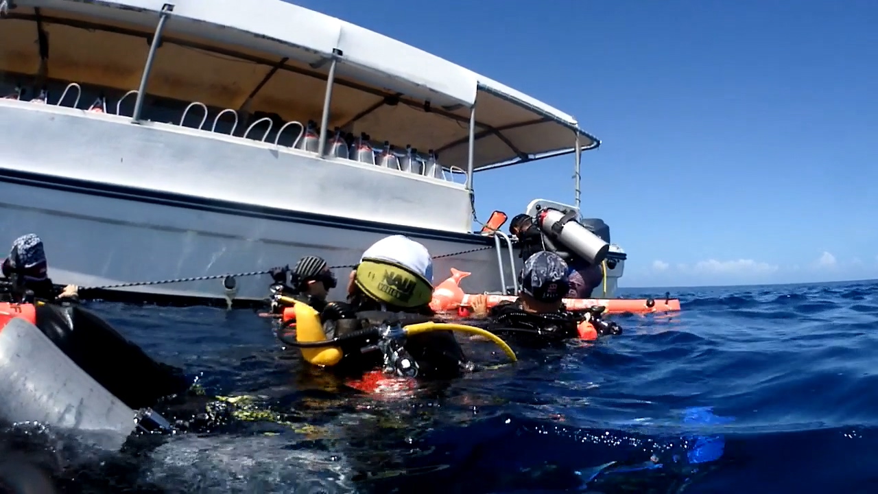 Palau Adventure Dive #Sand Bar