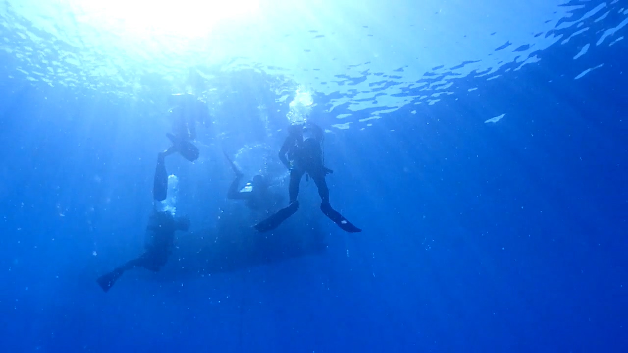 Palau Adventure Dive #Sand Bar