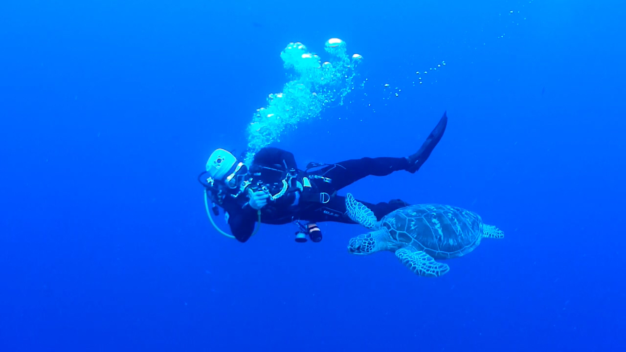 Palau Adventure Dive #Blue Corner Out Going Side