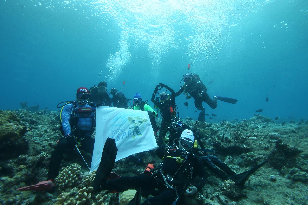 Palau Adventure Dive #New Drop Off