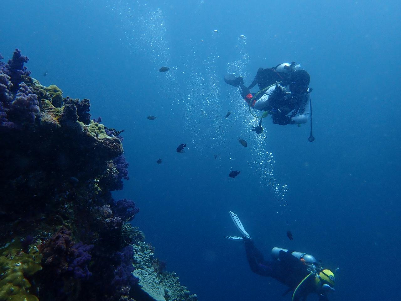 사우스안다만 리브어보드