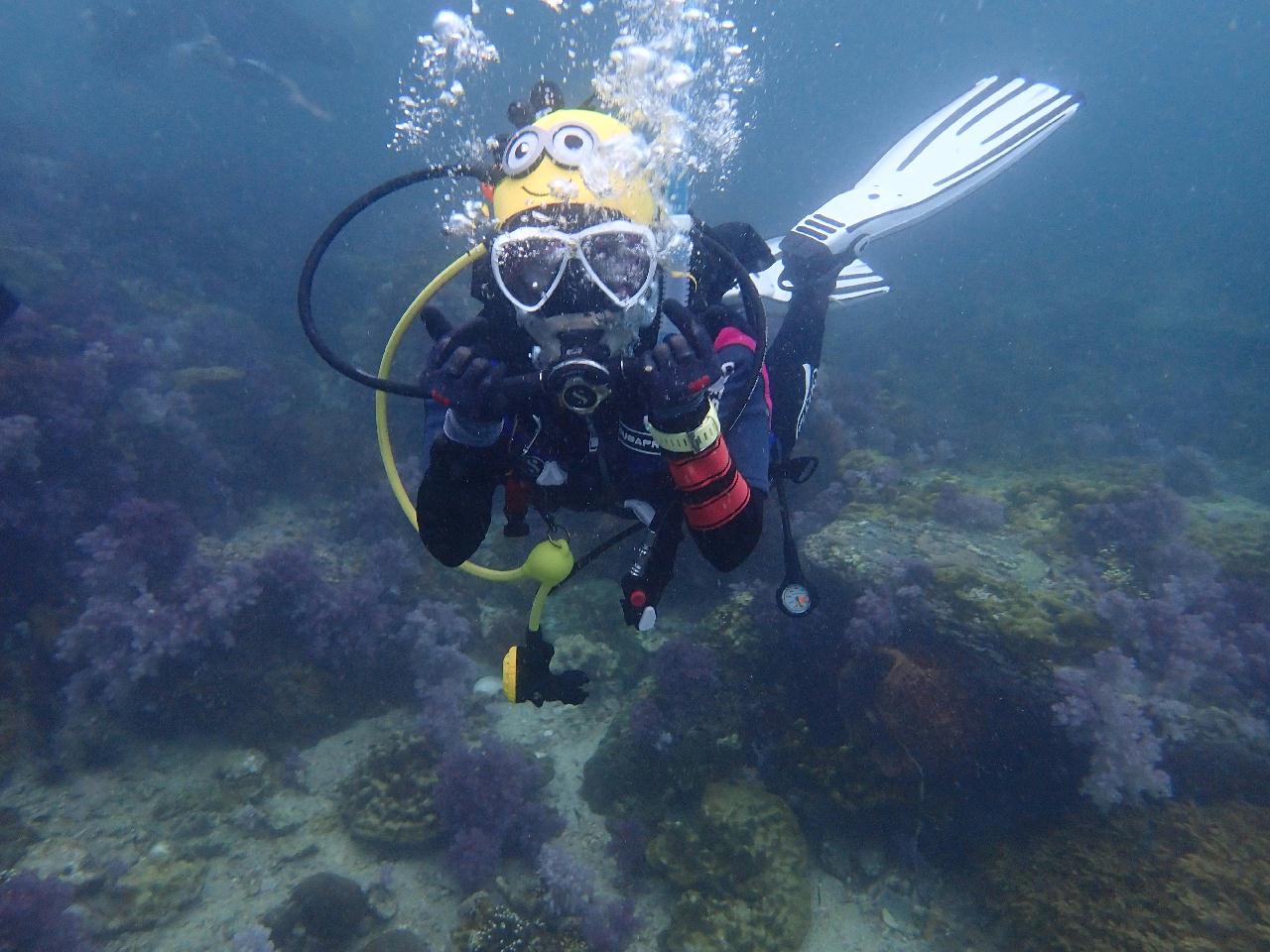 사우스안다만 리브어보드