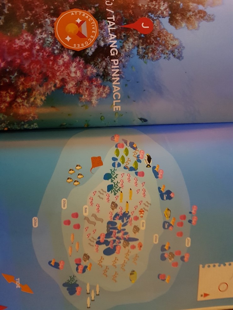 사우스안다만 리브어보드