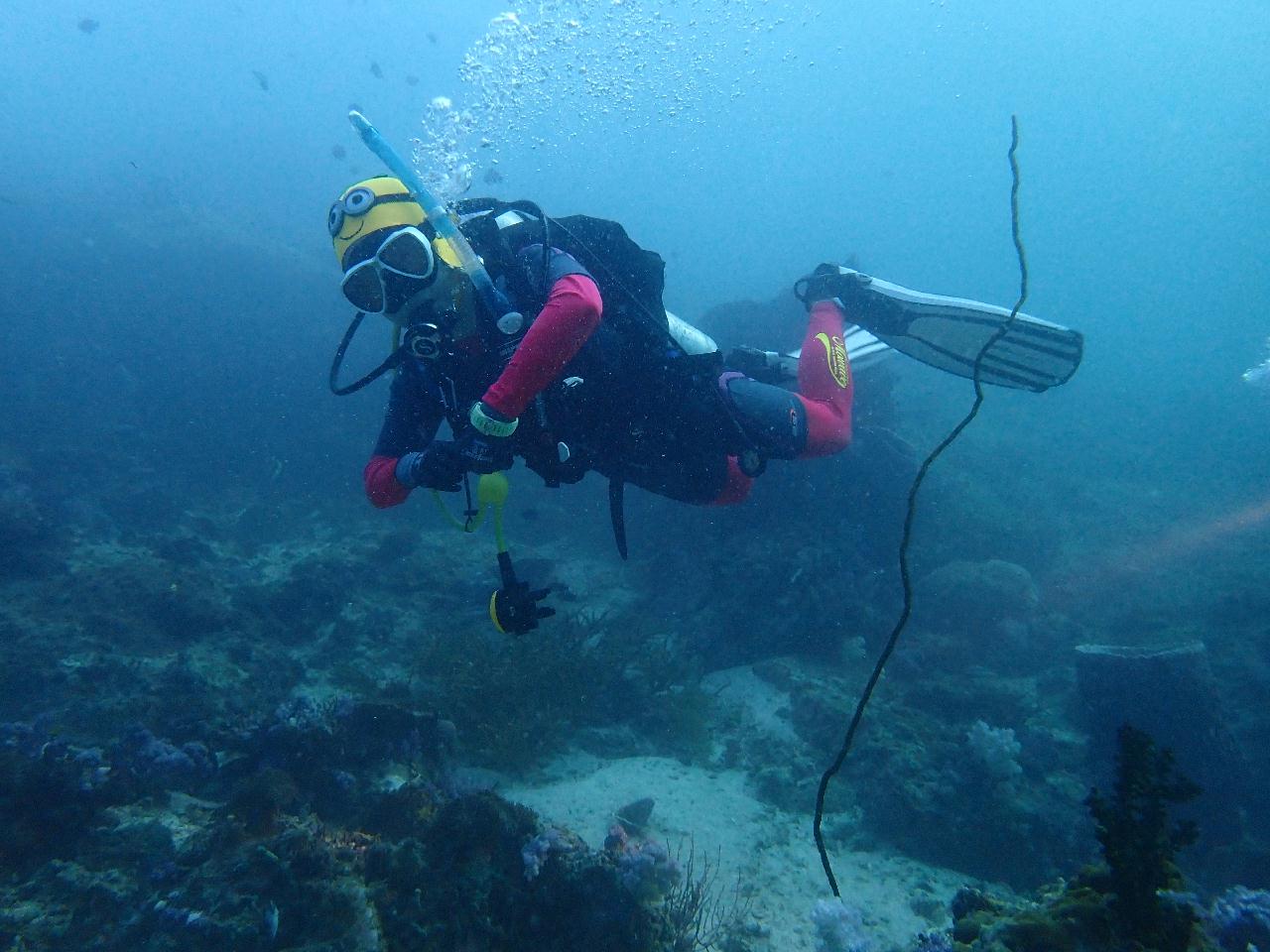 사우스안다만 리브어보드
