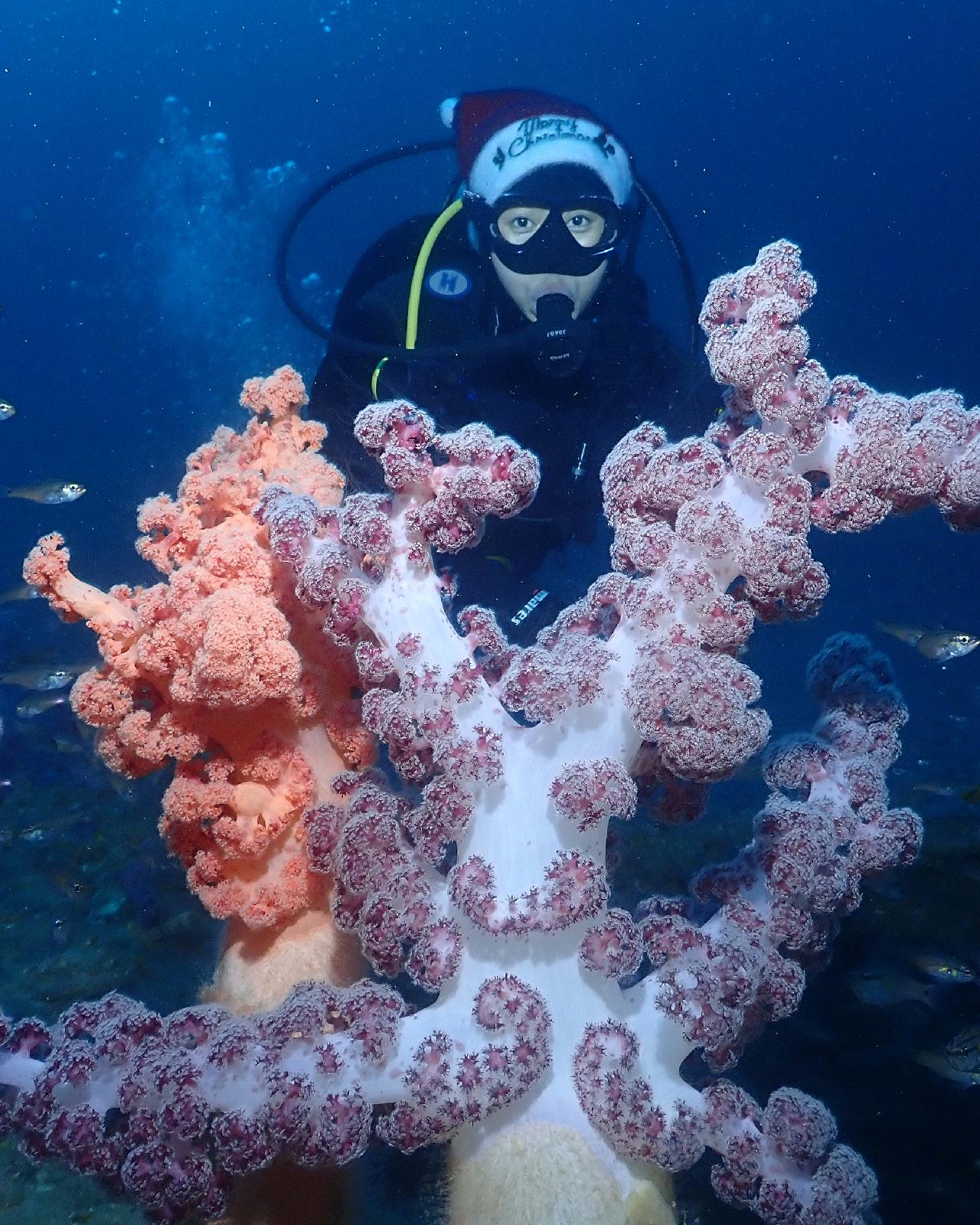 미리크리스마스