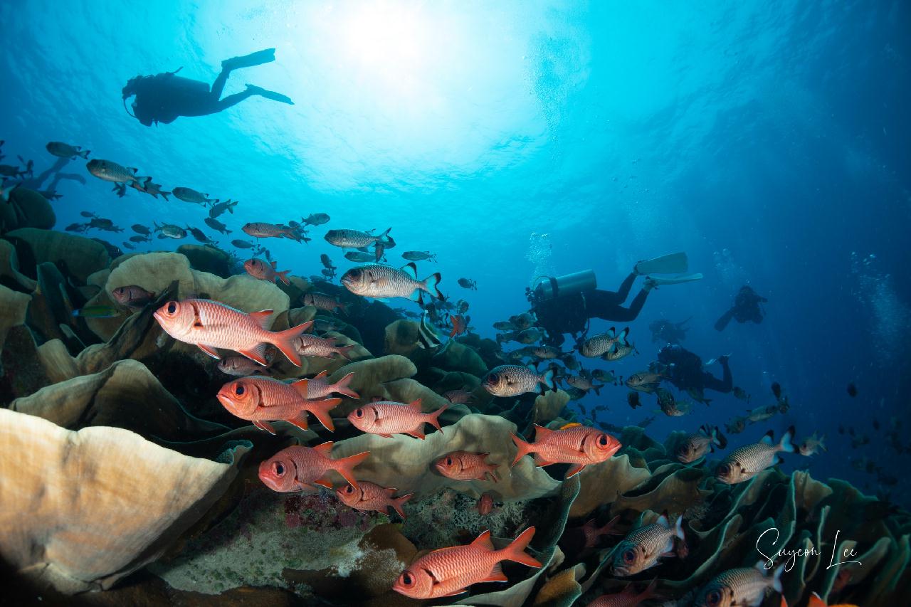 팔라우 - 울롱채널