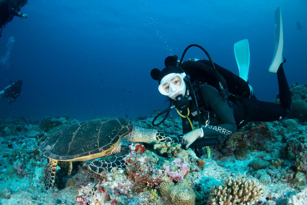 팔라우 - 블루코너