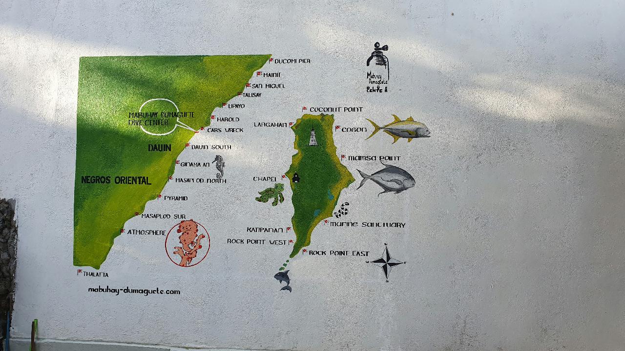 두마게티.필리핀 - 다우인 cars wreck