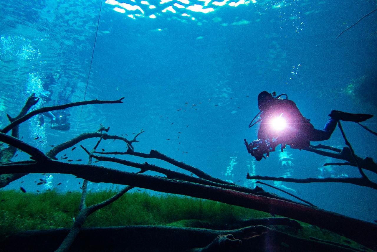 Cenote