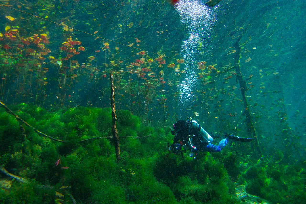 Cenote