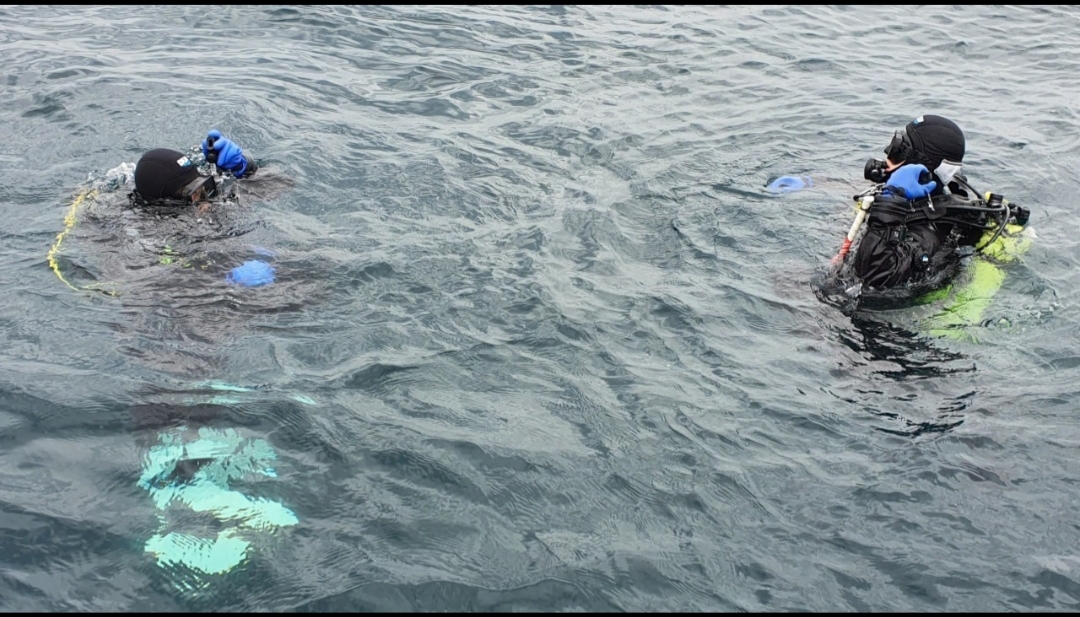 포항(영일만) - 호승잠수 2
