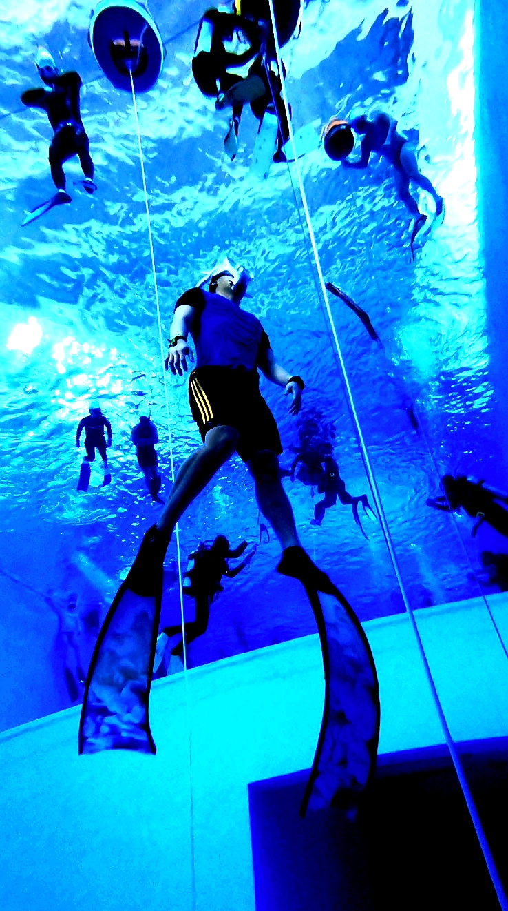 I became "Freediver"