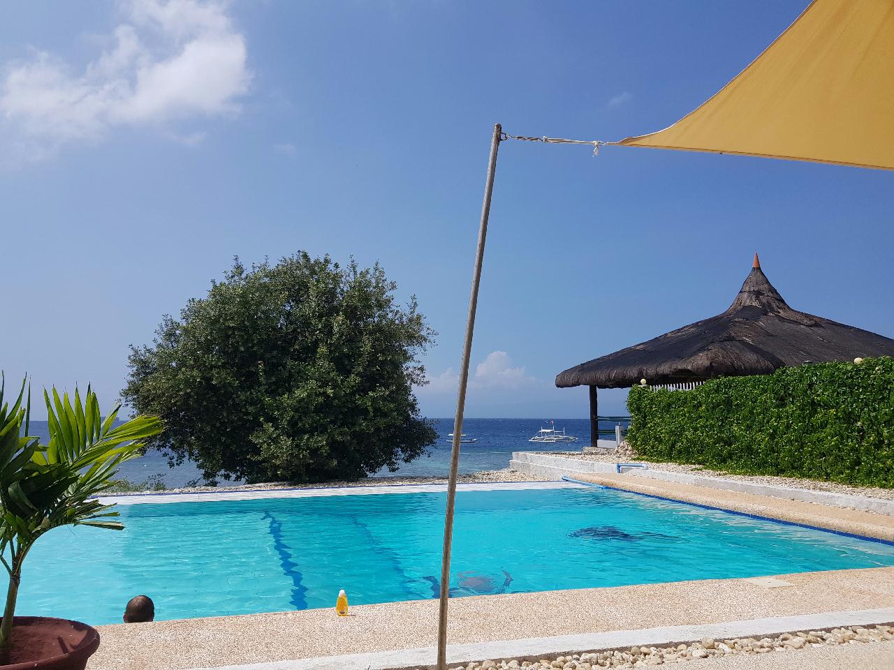 MOALBOAL FIRST DIVING