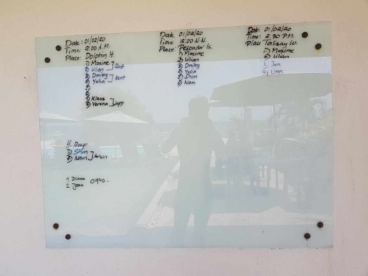 MOALBOAL FIRST DIVING