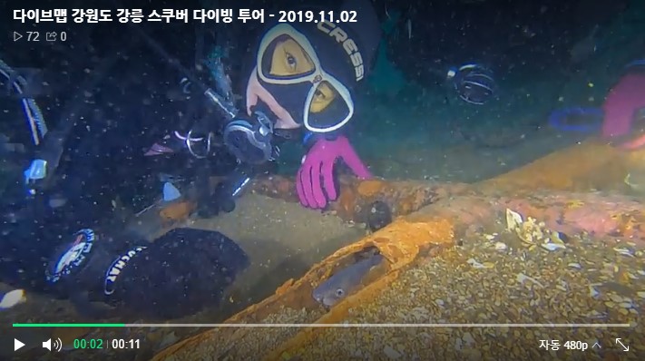 장어보러 갑시다