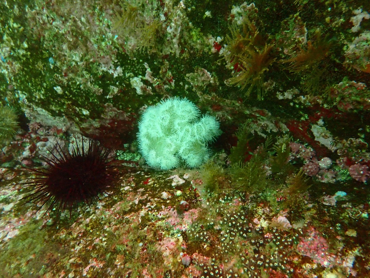 고성 봉포리조트 _ 동해 두번째 