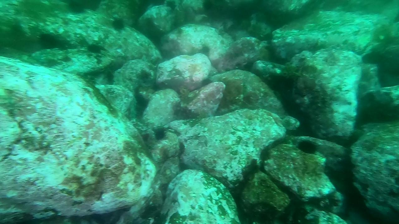 고성 봉포리조트 _ 동해 두번째 