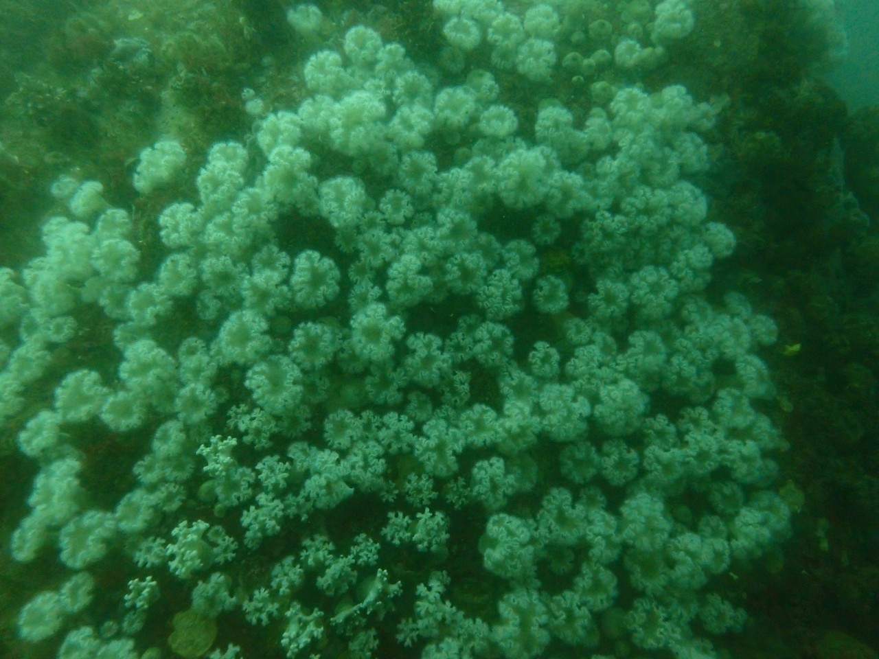 고성 봉포리조트 _ 동해 세번째 