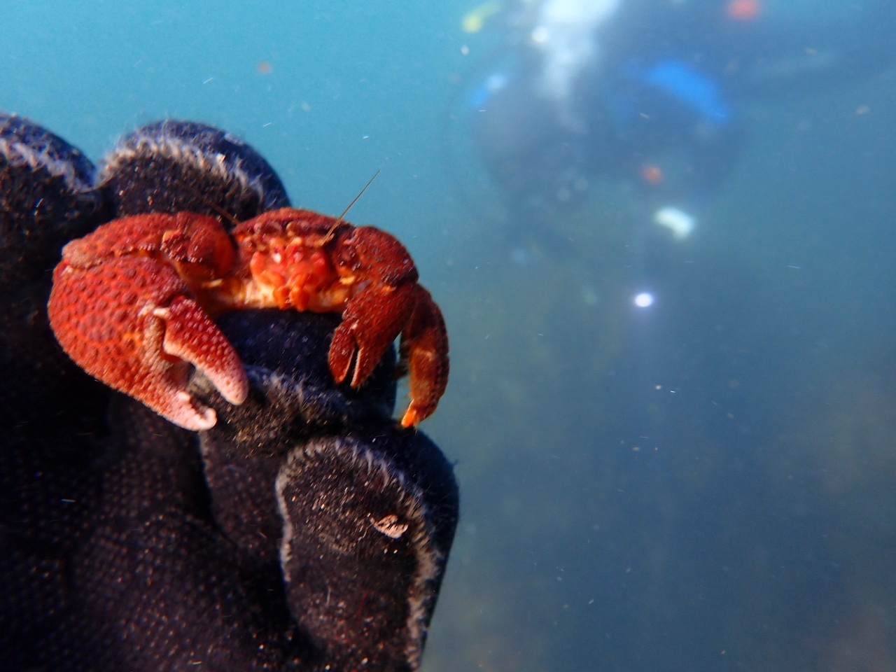 고성 봉포리조트 _ 동해 두번째 