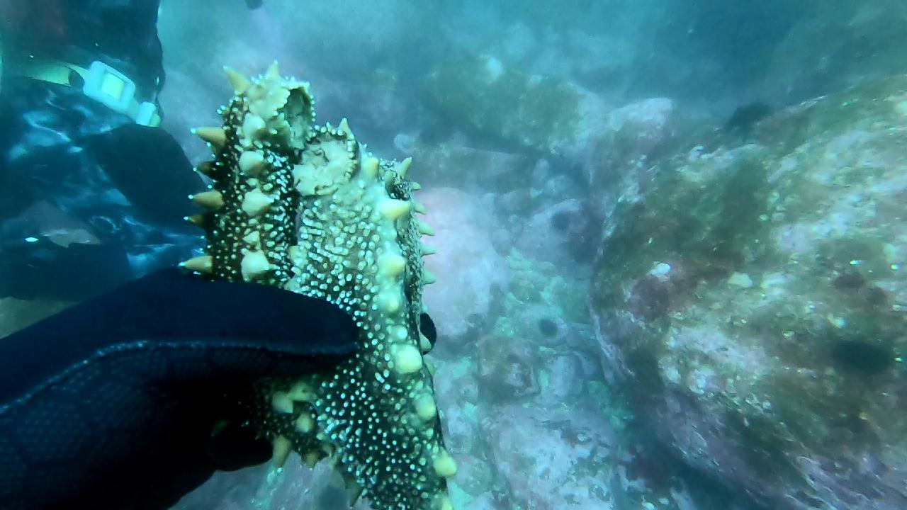 고성 봉포리조트 _ 동해 두번째 