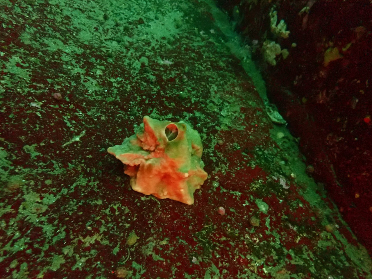 고성 봉포리조트 _ 동해 두번째 