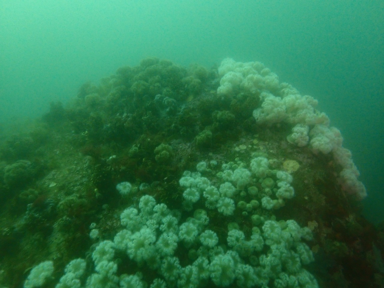 고성 봉포리조트 _ 동해 두번째 