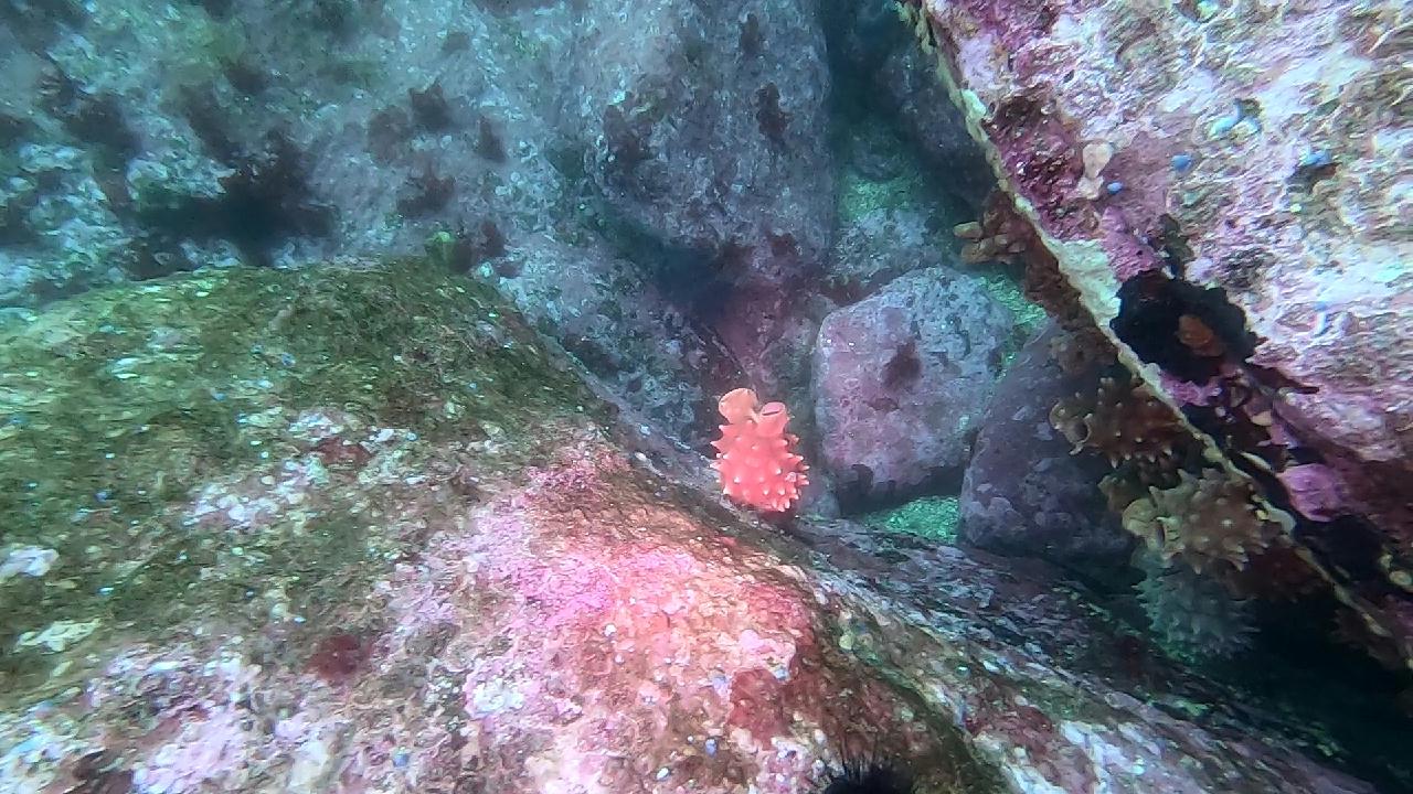 고성 봉포리조트 _ 동해 두번째 