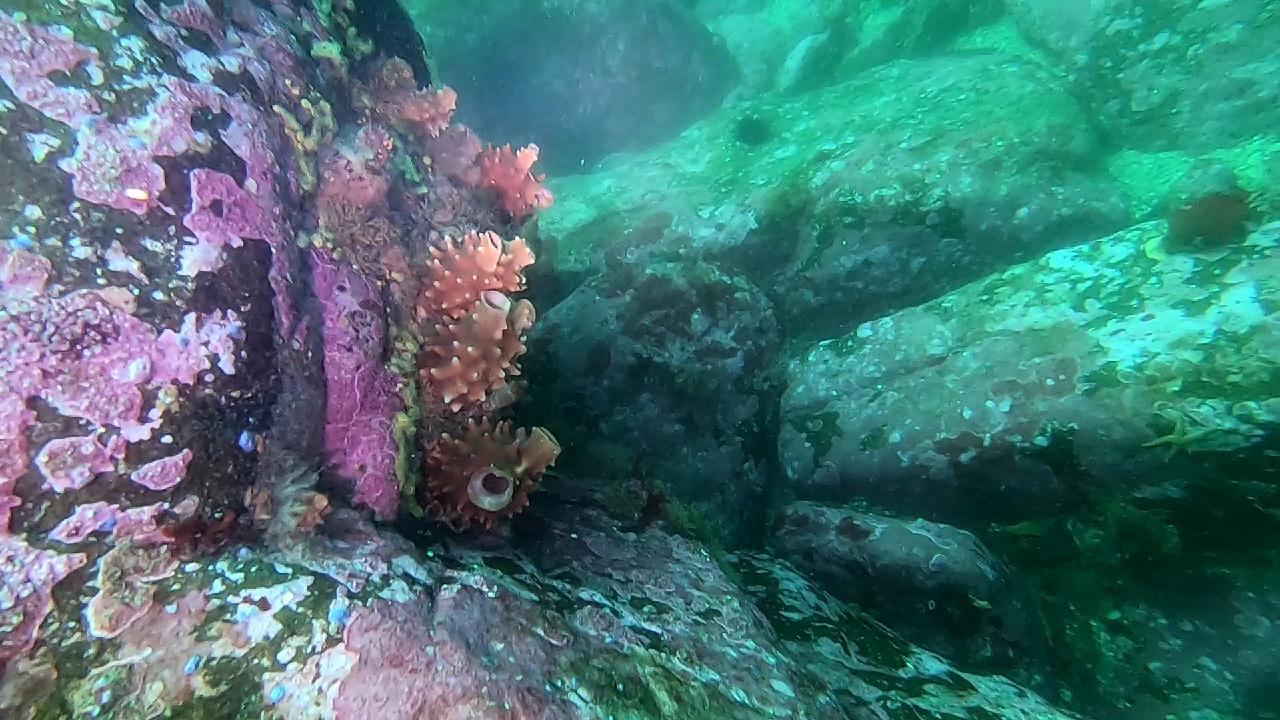 고성 봉포리조트 _ 동해 두번째 