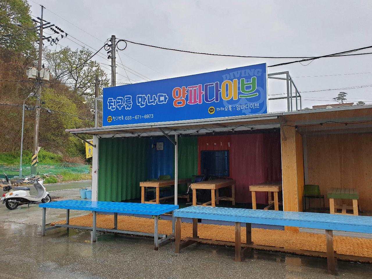 4월 동해수온이 대박