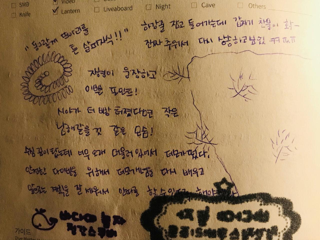 고성 울릉도