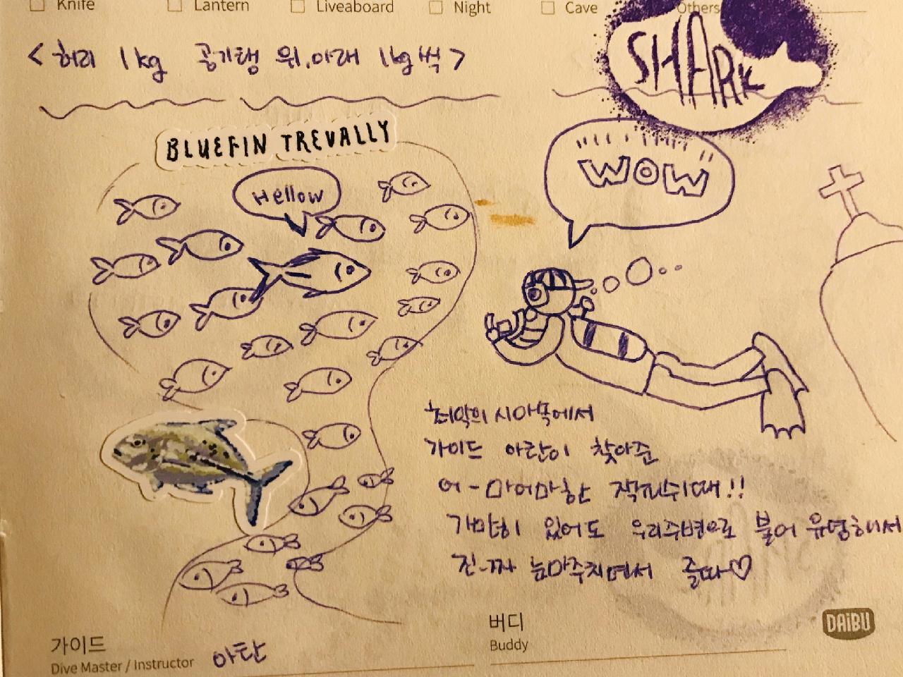 아닐라오 Dive n trik