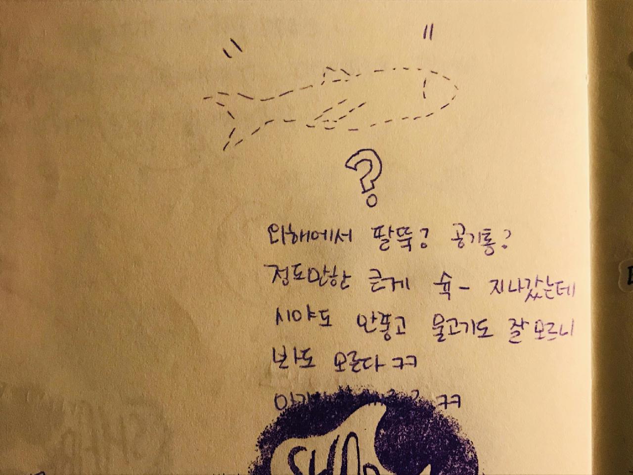 아닐라오 sombrero