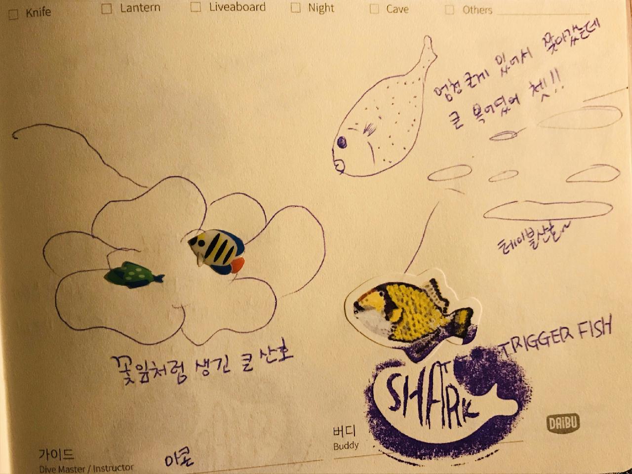 아닐라오 sepck wall