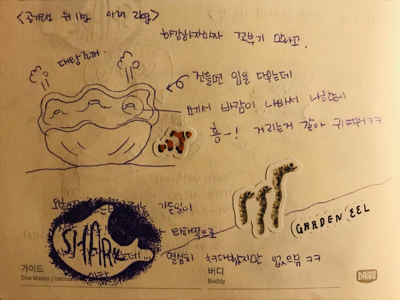 아닐라오 Dive n trik