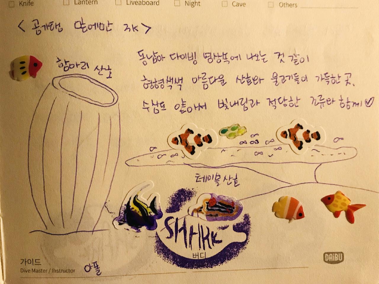 아닐라오 sombrero