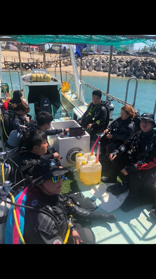 브다페스트 보드다이빙