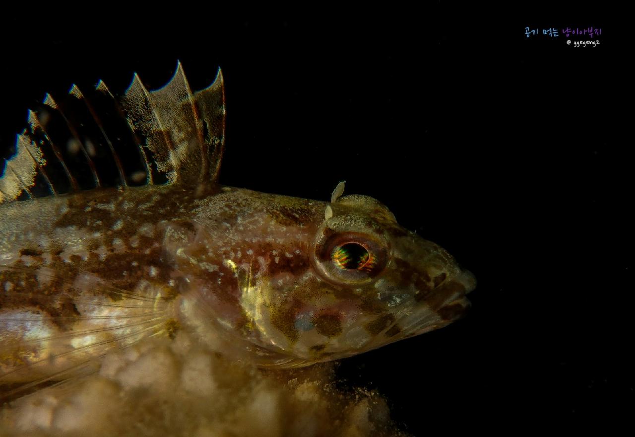 탐사대 실패 ㅋㅋ