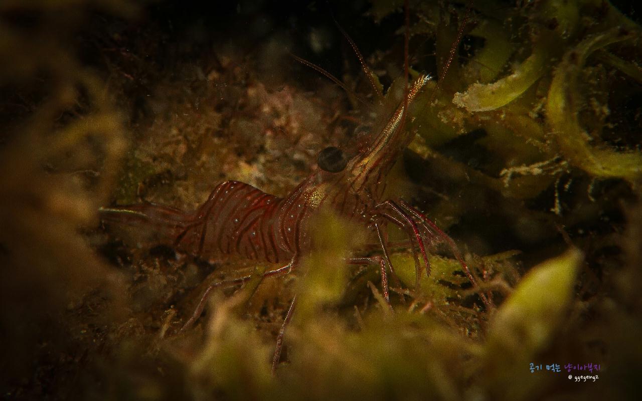 탐사대 실패 ㅋㅋ