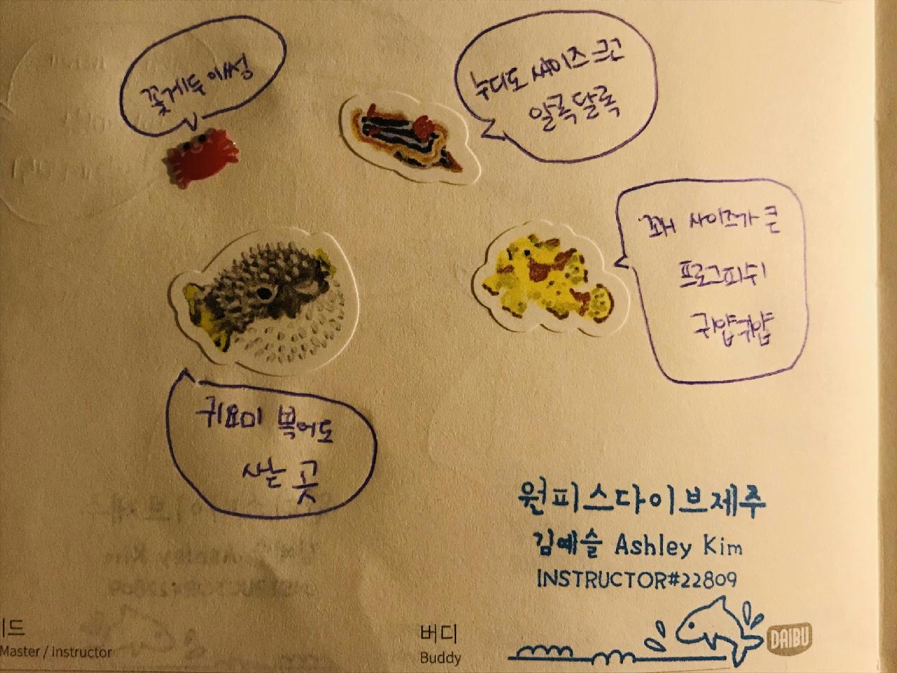 제주도 아치에서 쌍굴까지
