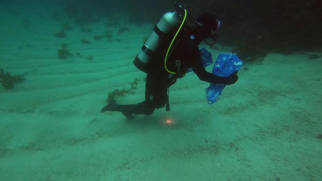 제주 수중산책 _ 아톰 포인트
