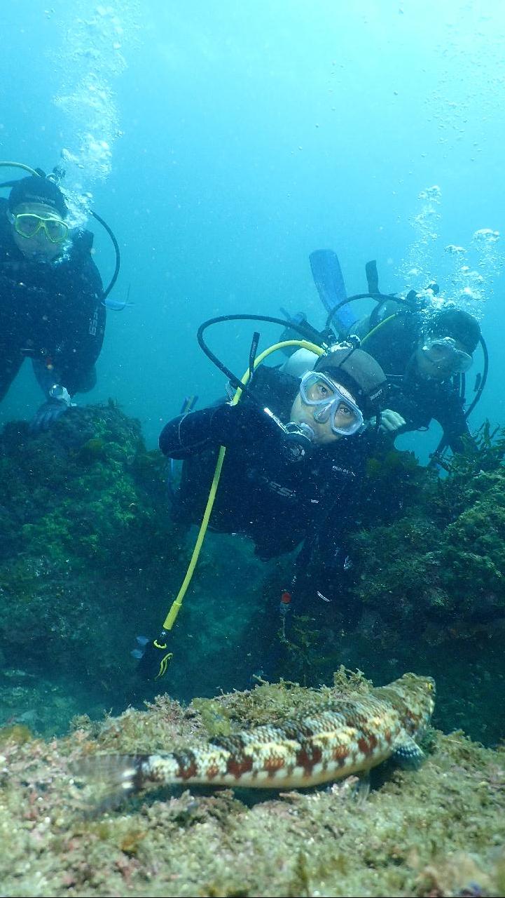 매퉁이를 만나다