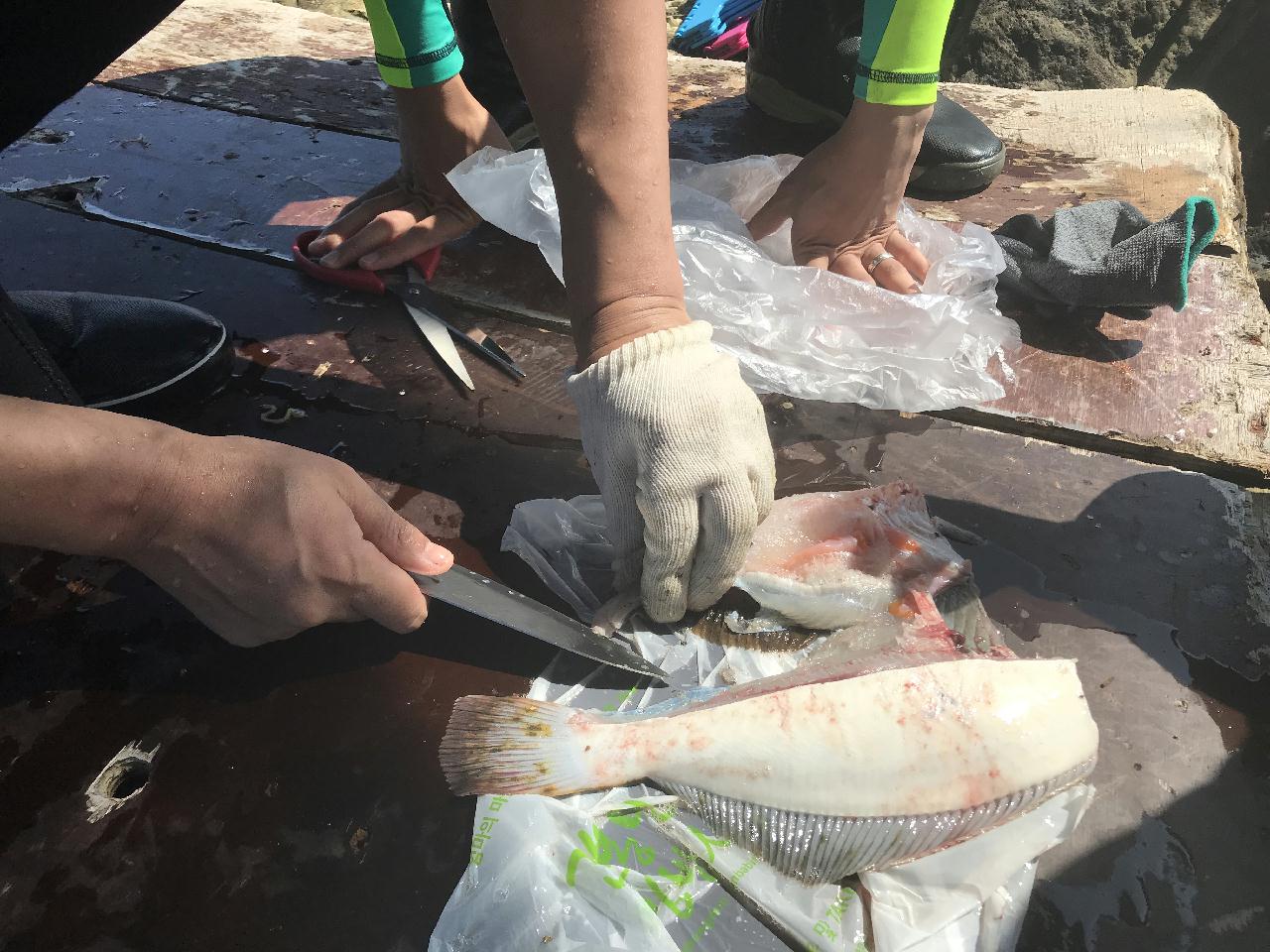 8.16-17 마산앞바다 2깡